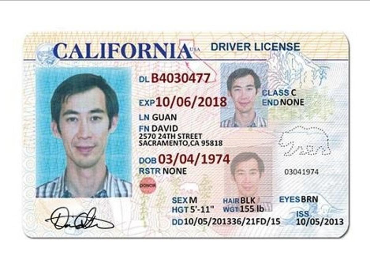 drivers license templates